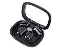 Denash Écouteurs de Traduction, Précision à 98%, 140 Langues, écouteurs sans Fil, Temps de Jeu 30h, Connexion Rapide, Son HiFi, Réduction du Bruit, Textes de Traduction en Temps Réel (Black)