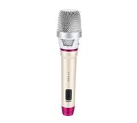 Denash Microphone Filaire, Micro Dynamique Cardioïde pour Voix | Câble XLR Femelle vers 6,35mm Mâle, 600Ω 60-13000Hz, Interrupteur Magnétique, Brancher et Utiliser, pour Scène Live Karaoké