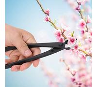 Denash Outils de Modélisation D'Einschneider avec une Bonne Puissance Nette, Gardez les Ciseaux de bonsaï et de Plantes de Jardin