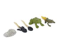Denash Ranidae Modèle de Cycle de Croissance Ensemble de Jouets éducatifs pour Enfants, Figurines de Simulation en Plastique Réalistes, Apprentissage du Cycle de Vie des Animaux, Sûr et Non Toxique