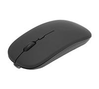 Denash Smart Wireless Mouse 2.4g Cordsless Office Souris avec Destinataire pour Une Tablette D'ordinateur Portable, Matériel ABS de Haute qualité pour Les Jeux/Bureau (Double modèle)