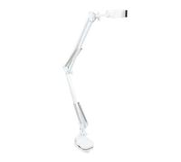 Denash Swan Col Adjustable Flexible Long Arm Brass pour Mobile Smartphone Beauty Live Streaming Learning Online White