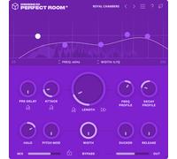 Denise Audio Denise Audio Perfect Room 2