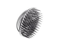 Denman D6 Shampoing- Et Brosse de Massage en Argent