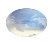 DENMOUS , 10,25 Ratti / 9,45 carats - Finition naturelle taillée en cabochon - Qualité A+ - Pierre de lune Rashi Ratna originale certifiée en laboratoire - Non chauffée - Pierre précieuse non traitée