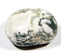 DENMOUS Agate d'arbre rare 82,1 ct 1 pcs-B09CMNQ5DN