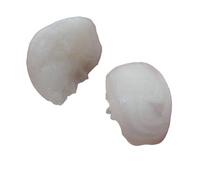 DENMOUS Divinity B0CBX87X-DNM Pierre de mer naturelle Machh Mani Réduit et supprime l'impact du Rahu (Meen Mukta, Fish Stone, Fish Pearl)-B0CBX87X-DNM