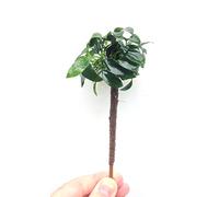 Dennerle - Anubias nana Bonsaï sur mini Palmier