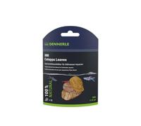 Dennerle Nano Catappa Leaves