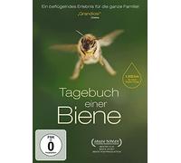 Dennis Wels - Tagebuch Einer Biene