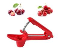 Dénoyauteur de Cerises et Olives en Acier Inoxydable - Cherry Corer pour Fruits et Baies avec Poignée
