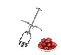 Dénoyauteur de prunes, extracteur de noyaux de cerises, multi-usages en acier inoxydable, dénoyauteur d'olive robuste pour piment, baies, jujube
