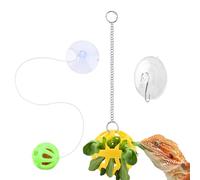 D'enrichissement Pour Dragon Barbu Boule Grelot Pour Gecko à Ventouse