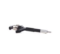 DENSO DCRI106130 Injecteur