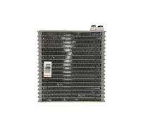 DENSO Évaporateur climatisation DEV09011 R134a pour FIAT Stilo 192 1.2 2002-2006