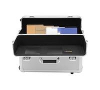 Densony Valise de pilote à roulettes 39 x 24 x 48 cm avec barre télescopique et compartiment amovible pour ordinateur portable - Valise moderne en aluminium - Bagage à main pour les voyages d'affaires