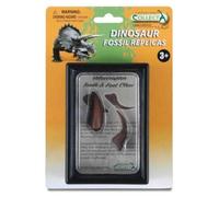 Dent De Vélociraptor Et Griffe De Membre Inférieur En Pack 89291 Collecta