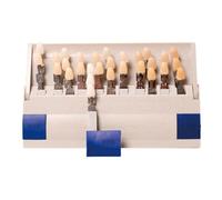 Dentals Blanchiment Shade Guide Comparison Board 16/29 Couleur Blanchiment Esthétique Porcelaine Plaque de Couleurs Dents