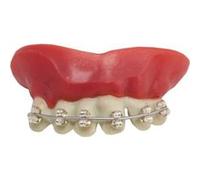 Dentier appareil dentaire taille unique G