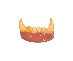 Dentier Loup-Garou Crocs