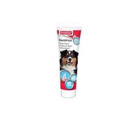 Dentifrice