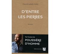 D'entre les pierres - David Lelait-Helo - Anne Carriere Eds - broché - Roman