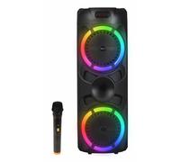 Denver BPS-459 haut-parleur portable et de fête Enceinte de soirée Noir 20 W