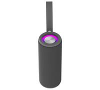 Denver Haut-parleur Bluetooth BTV-213 grey