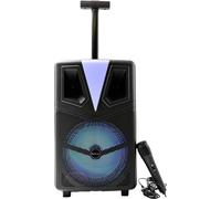 Denver TSP-307 Enceinte Bluetooth portable, USB, SD, avec support, AUX noir