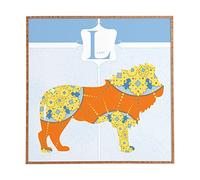 Deny Designs Décoration murale encadrée Jennifer Hill Mister Lion Small (12" x 12")