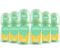 Déodorant Et Antisudorifique À Bille Pour Femmes 48 Heures (100 Ml) Pure Fresh, Testé Par Des Dermatologues (Lot De 6)