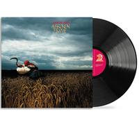 Depeche Mode A Broken Frame (Vinyl)