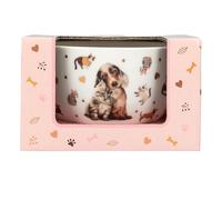 Depesche 13867 TOPModel Fur ever Friends - Bol à céréales en blanc, avec motif modèle, chiens, chats et or, bol avec inscription intérieure "Happy Day