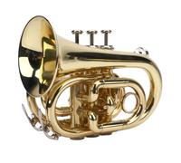 Depisuta Kit de Trompette de Poche, BB Trumpet de Laiton Plat pour Débutants et étudiants, Trompette de Poche NI avec Embout Buccal 7C, Tissu de Nettoyage, Gants, Sangle, Porte-caisson