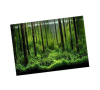 Depisuta PVC Adhésif sous-Marin Forest Tank Fond Decor Decor Paper Facile à Nettoyer Image Auto-adhésive avec Couleur Vive pour Les Amateurs D'aquarium (61 * 41CM)