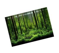 Depisuta PVC Adhésif sous-Marin Forest Tank Fond Decor Decor Paper Facile à Nettoyer Image Auto-adhésive avec Couleur Vive pour Les Amateurs D'aquarium (122 * 46 cm)