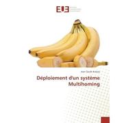 Deploiement d'un systeme Multihoming Le cas de L'UPC / SRCC dans la region des plateaux - Jean Claude Bukasa - Universitaires Europeennes - broché - Essai