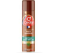 Dépoussiérant Multi Surfaces - Bois Et Meubles - Élimine La Poussière Et Fait Briller - Cire De Carnauba - Bois De Santal - Toutes Surfaces - Fabriqué En France - Aérosol 300ml