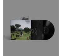 Depresion Sonora - Los Perros No Entienden Internet