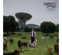 Depresion Sonora - Los Perros No Entienden Internet