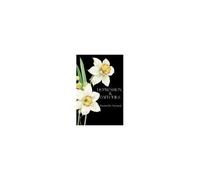 Depression And Daffodils : A Journey Through Darkness Into Light Paperback Book By Avyneet