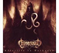 Afterlife in Darkness