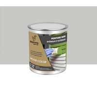 DEPROMA Peinture bois intérieur et extérieur SATIN - Qualité professionnelle (Gris Clair - RAL 7035, 1 Litre)