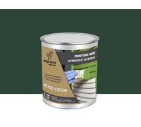 DEPROMA Peinture bois intérieur et extérieur SATIN - Qualité professionnelle (Vert Mousse - RAL 6005, 1 Litre)