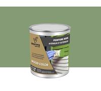 DEPROMA Peinture bois intérieur et extérieur SATIN - Qualité professionnelle (Vert Pâle - RAL 6021, 1 Litre)