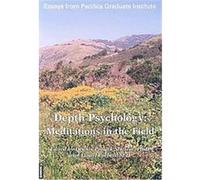 Depth Psychology Dennis Patrick Slattery (Auteur)