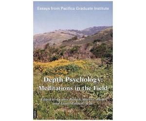 Depth Psychology: Meditations In The Field