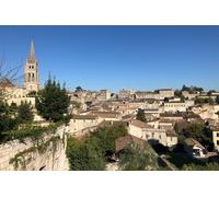 Depuis Bordeaux Visite des Vignobles à Saint Emilion Demi Journée
