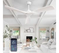 Depuley Ventilateur de plafond silencieux sans lumière pour l'extérieur 132 cm avec télécommande et application pour terrasse, jardin, grand ventilateur de plafond, minuterie CC réversible pour