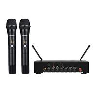 Depusheng DR20 Professional Wireless Microphone Dual Portable Microphone UHF Wireless Receiver Suitable for KTV Family K Song Stage Performance Bluetooth